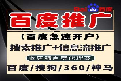 百度搜索引擎优化推广：成功案例揭秘